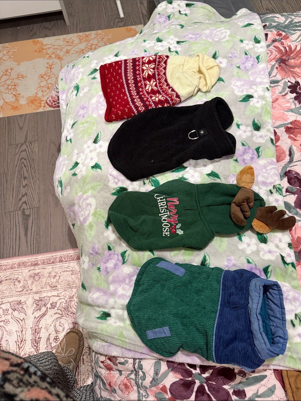 Bundle - 3 sweaters and 1 sweater harness xs